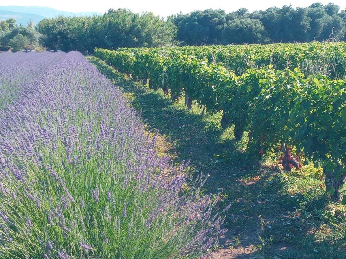 Agriturismo Il Melograno Riola Sardo Exterior foto