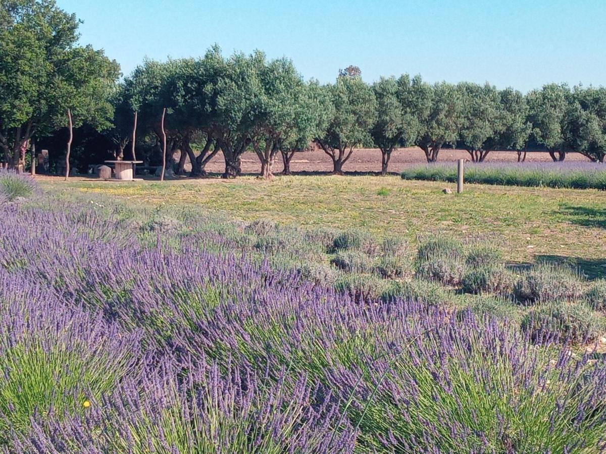 Agriturismo Il Melograno Riola Sardo Exterior foto